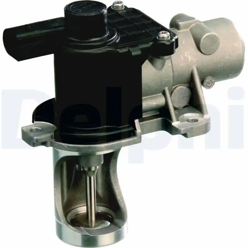 Zniżka Zawór AGR DELPHI EG10260-12B1