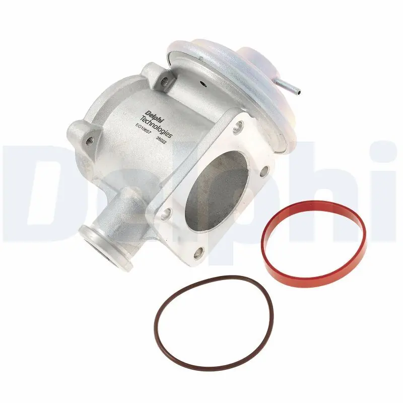 Cena promocyjna Zawór AGR DELPHI EG10657-12B1